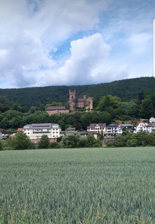 Ferienwohnung Tinas Beauty Neckarsteinach Exterior foto